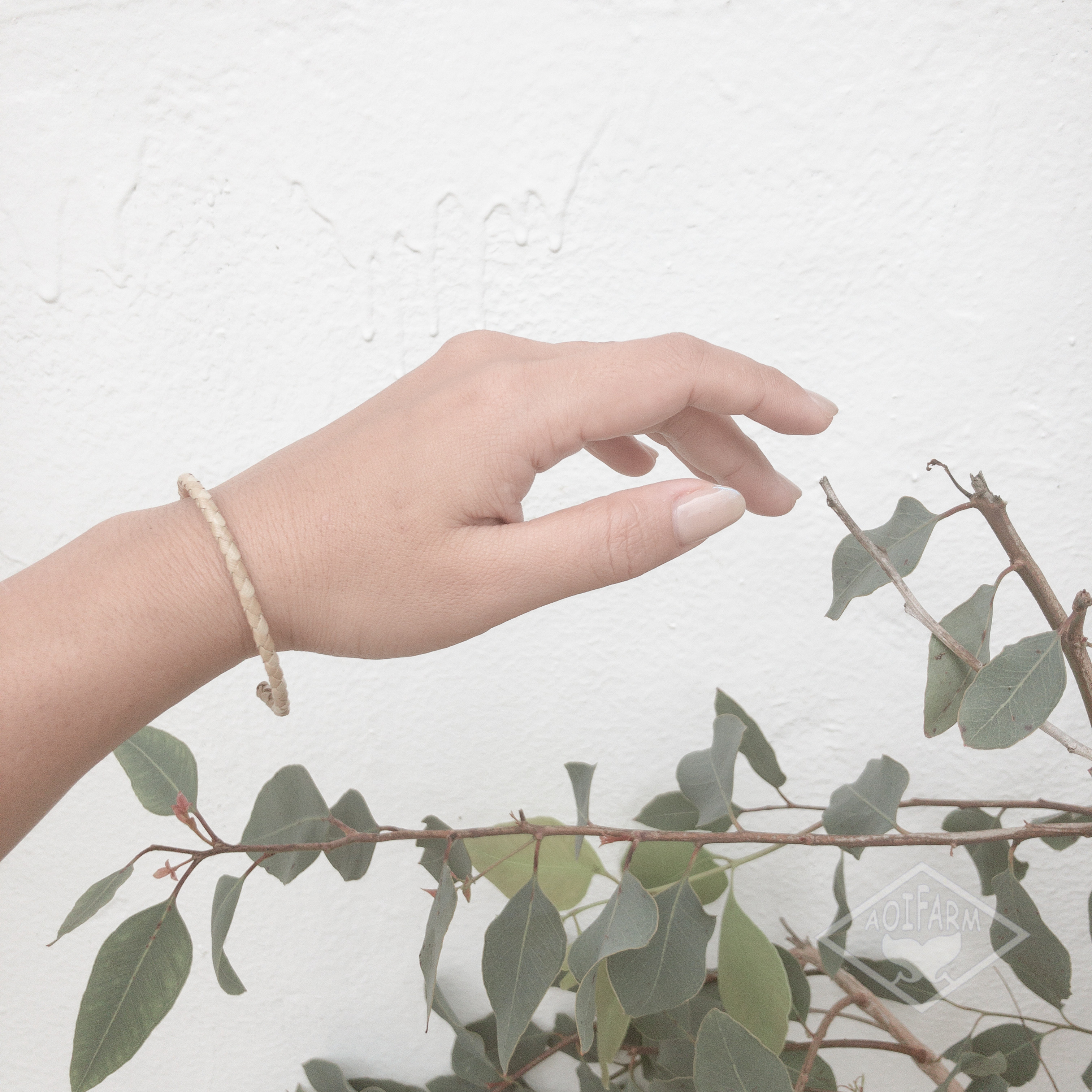 沖縄アダン＊バングル56 アダンバングル 華奢 シンプル バングル・リストバンド AOIFARM 通販