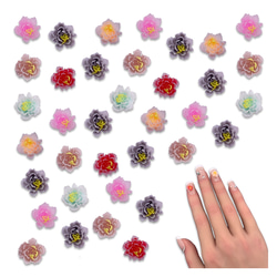 533e66783cd0b33bdd3bc7a7b566f5