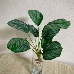 アートグリーンbyとんぼページ アートグリーンbyとんぼのギャラリー | ハンドメイド通販・販売のCreema