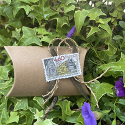 〔ピルケース〕おしゃれでかわいい！持ち運びしやすい外国切手のケース（アメリカンショートヘア）ラッピング無料！プレゼントに 14枚目の画像