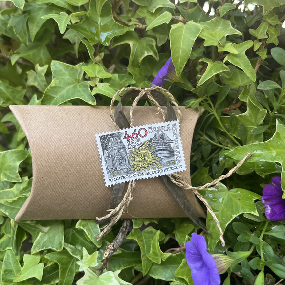 〔ピルケース〕おしゃれでかわいい！持ち運びしやすい外国切手のケース（アメリカンショートヘア）ラッピング無料！プレゼントに 14枚目の画像