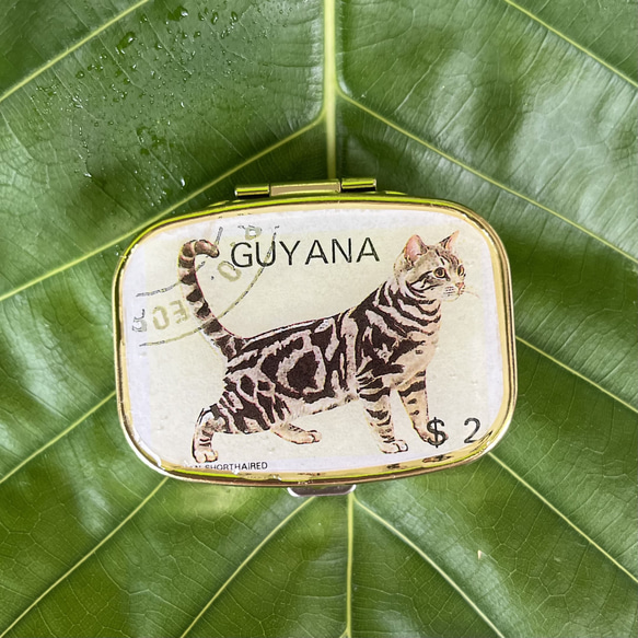 〔ピルケース〕おしゃれでかわいい！持ち運びしやすい外国切手のケース（アメリカンショートヘア）ラッピング無料！プレゼントに 3枚目の画像