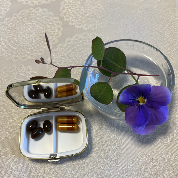 〔ピルケース〕おしゃれでかわいい！持ち運びしやすい外国切手のケース（アメリカンショートヘア）ラッピング無料！プレゼントに 10枚目の画像