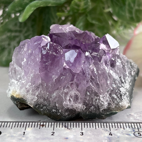 愛の守護石】レインボー アメジスト 紫水晶 クラスター 原石 愛の守護石】レインボー アメジスト 紫水晶 クラスター 原石