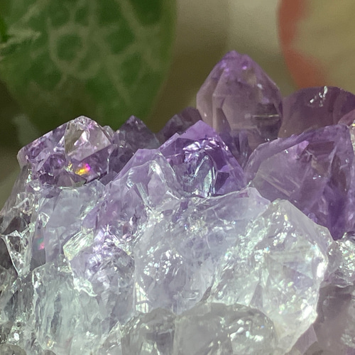 愛の守護石】レインボー アメジスト 紫水晶 クラスター 原石 愛の守護石】レインボー アメジスト 紫水晶 クラスター 原石