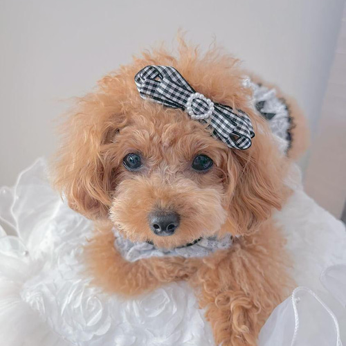 犬リボン ペットリボン ギンガムチェック重ねリボン ペット服