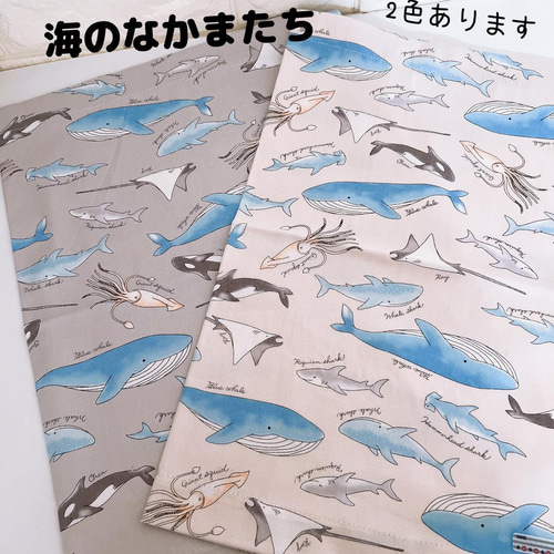 学校サイズ 60×40ランチョンマット 海のなかまたち グレー 魚 くじら 