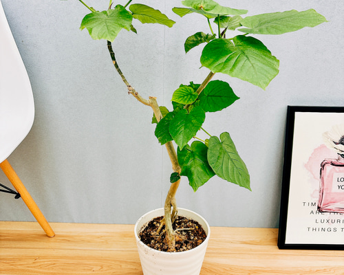 470160feffde4e7439c15d33b0e2be