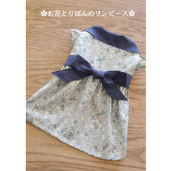 ㊗️還暦お祝いセット（ちゃんちゃんこと帽子） ペット服