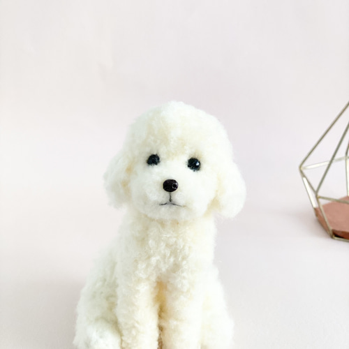 いつでもいっしょ♪ ふわふわ小さなホワイトのトイプードル 犬の