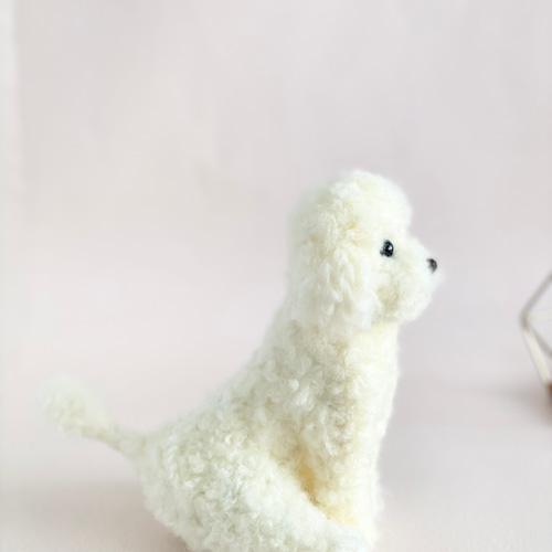 いつでもいっしょ♪ ふわふわ小さなホワイトのトイプードル 犬の