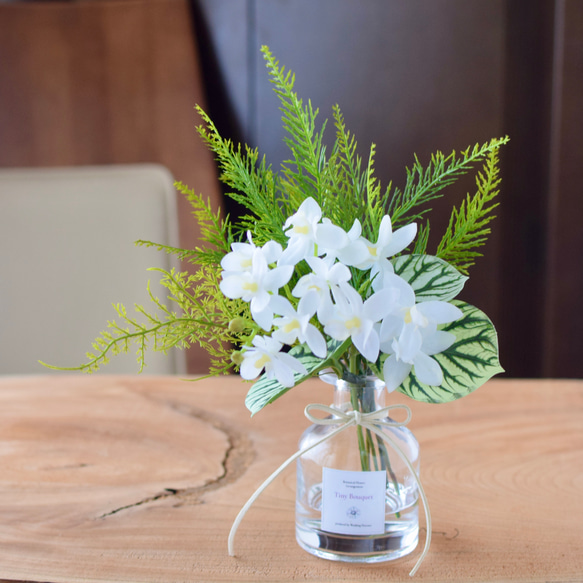 Creema限定！涼しげ♪洋ランと観葉植物のフェイクウォーターアレンジ 1枚目の画像