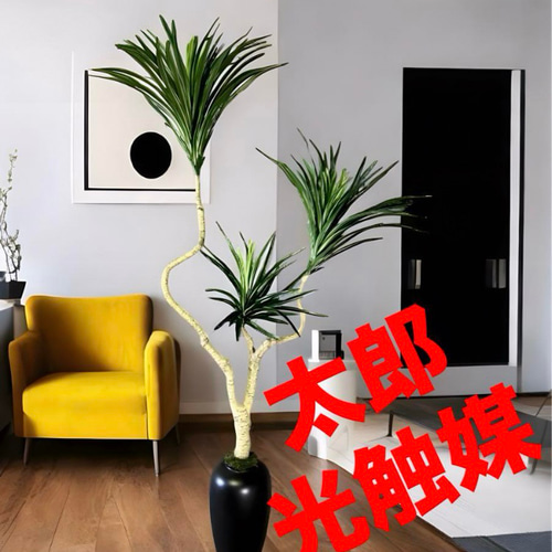 光触媒 人工観葉植物 ウォールグリーン フェイクグリーン コンシンネ13280