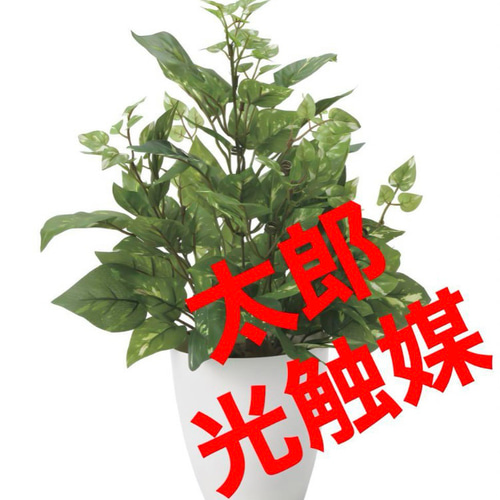 光触媒 人工観葉植物 ウォールグリーン フェイクグリーン ポトスL