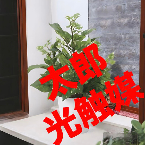 光触媒 人工観葉植物 ウォールグリーン フェイクグリーン ポトスL