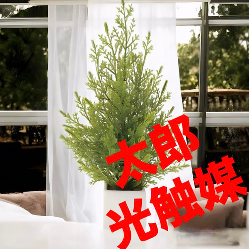 光触媒 人工観葉植物 ウォールグリーン フェイクグリーン ミニゴールド 