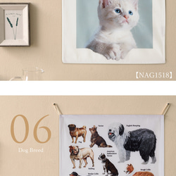 Jubilee ファブリックポスター タペストリー 犬 猫 花 植物60ｘ45cm jubileepos6045-nag 7枚目の画像