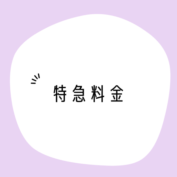 特急料金　★特急料金対応の商品とセットで購入★ 1枚目の画像