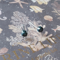 小さめ 一粒ピアス シュンガイト 4mm サージカルステンレス 2枚目の画像