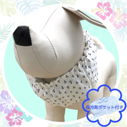 パグ 服 のおすすめ人気通販 検索結果｜Creema(クリーマ) ハンドメイド 