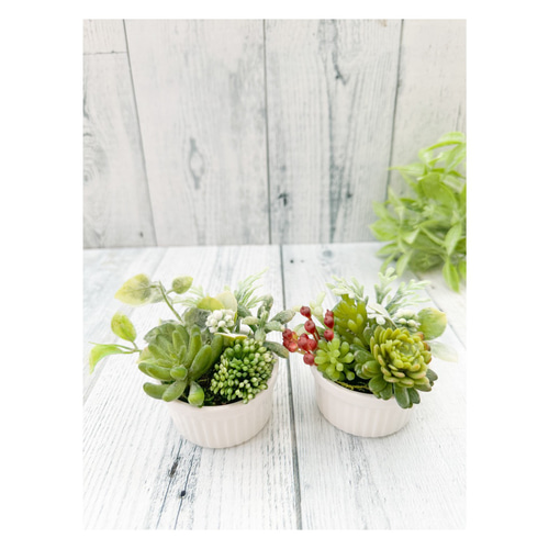ミニココット寄せ植え風（2個set）▫️フェイク多肉植物・フェイク 