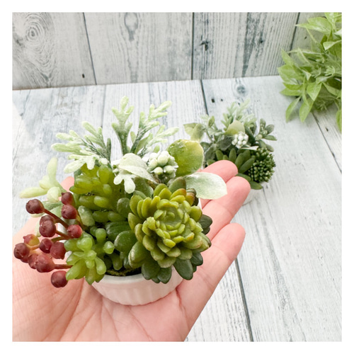 ミニココット寄せ植え風（2個set）▫️フェイク多肉植物・フェイク  