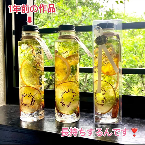 透きとおる爽やかさ！フルーツハーバリウム 円柱瓶Mサイズ 1本 ハー