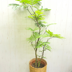 光触媒 人工観葉植物 ウォールグリーン フェイクグリーン サンスベリア
