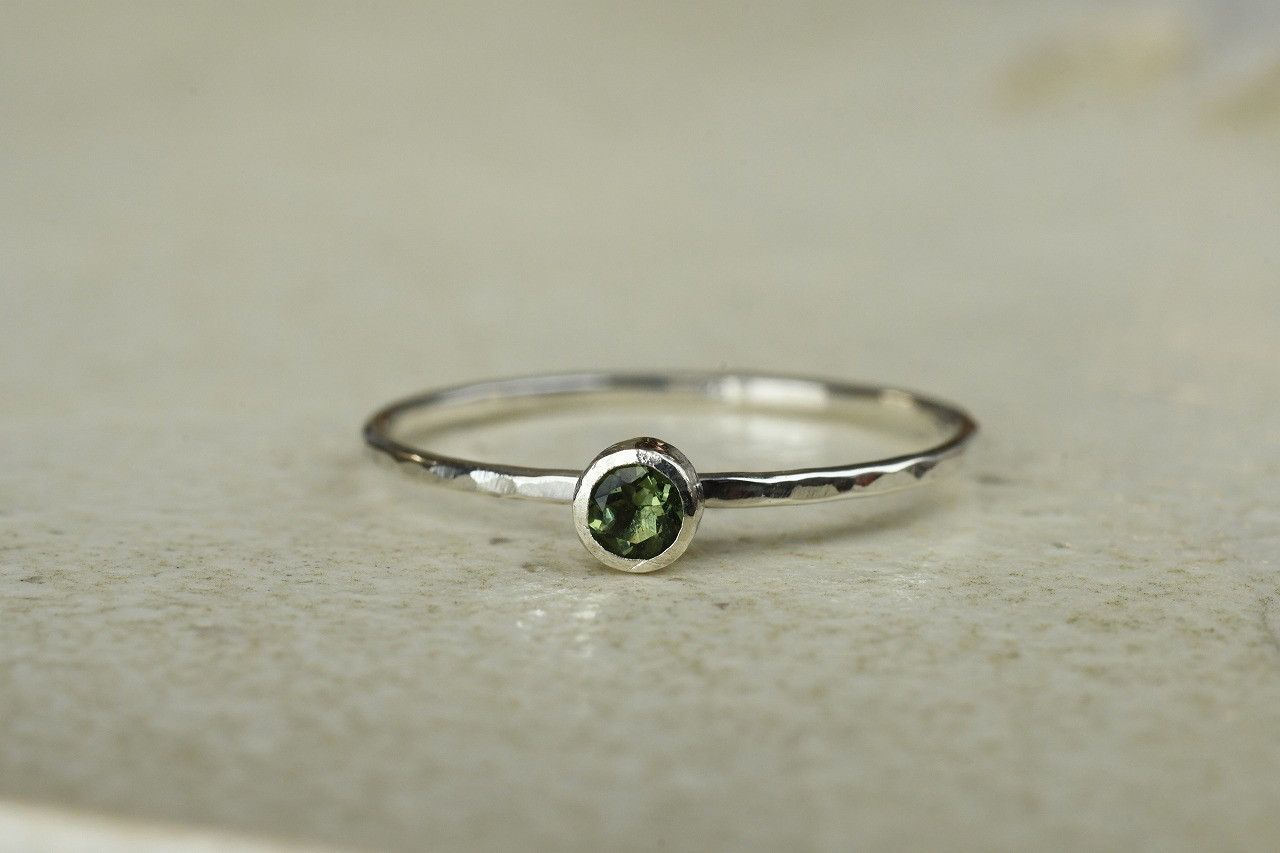 深緑の来訪者・ⅩⅤ