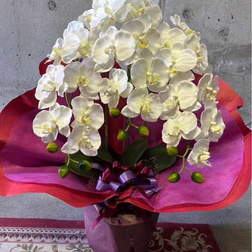 光触媒　人工観葉植物　ウォールグリーン　フェイクグリーン　胡蝶蘭7640r 光触媒 人工観葉植物 ウォールグリーン フェイクグリーン 胡蝶蘭7640