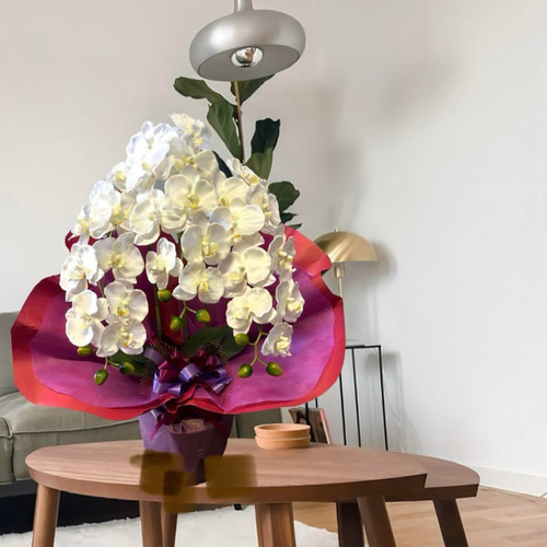 光触媒 人工観葉植物 ウォールグリーン フェイクグリーン 胡蝶蘭7640