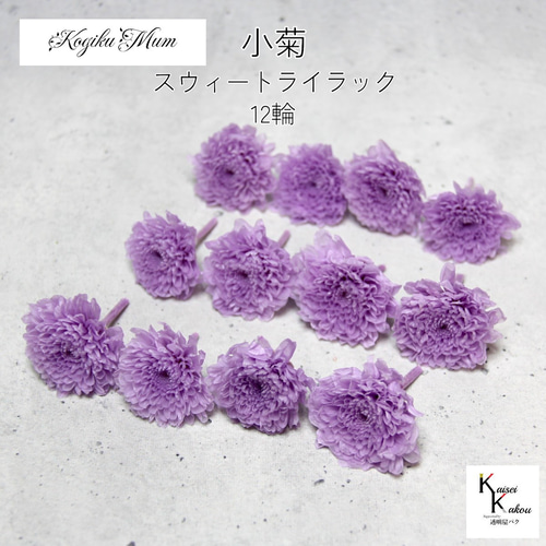 大地農園「小菊 スウィートライラック 12輪」プリザーブドフラワー 