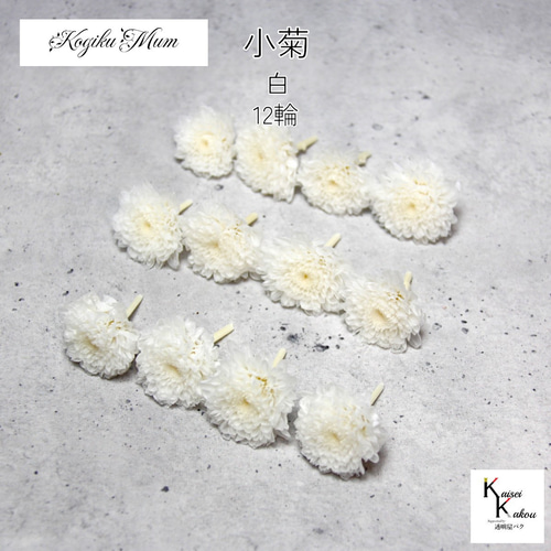 大地農園「小菊 白 12輪」プリザーブドフラワー プリザ ハーバリウム 