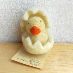 マーモット 羊毛フェルト マナウヲ（てんめのながや） 通販 17954152