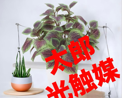 光触媒 人工観葉植物 ウォールグリーン フェイクグリーン