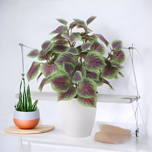 光触媒 人工観葉植物 ウォールグリーン フェイクグリーン