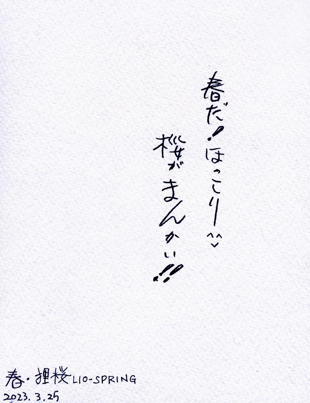信楽焼福たぬきシリーズ ver,1 春たぬき・狸桜