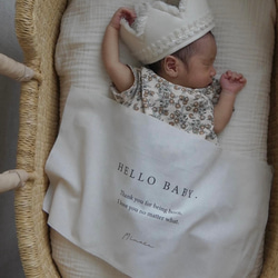 名入れ Hello baby タペストリー／ニューボーンフォト just born
