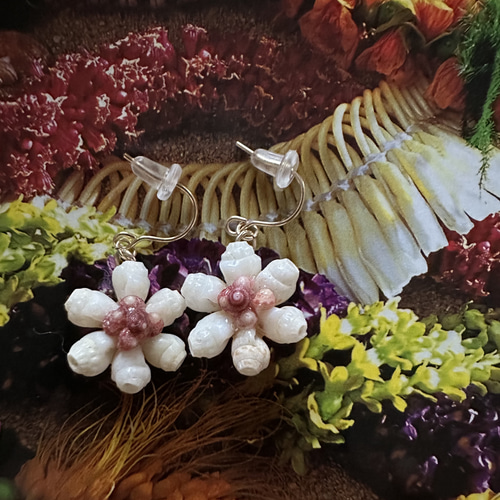 ニイハウシェルのフラワープチピアス ピアス（フック・チェーン