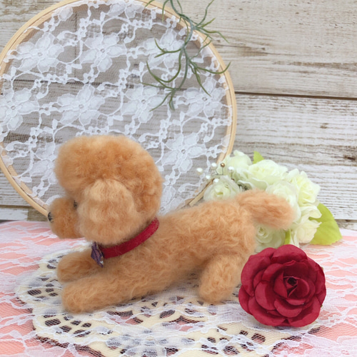 羊毛フェルト　トイプードル　9月　ななちゃん 期間限定10％OFF／ ニードルフェルトキット ふわふわ羊毛で