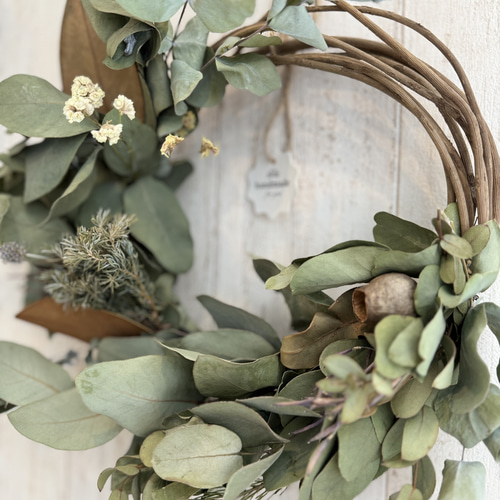 ユーカリ2種、ベルガムナッツのドライフラワーリース 25cm リース