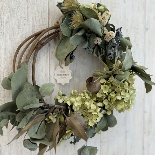 ドライフラワーアナベルユーカリベルガムナッツのリース 26cm リース  