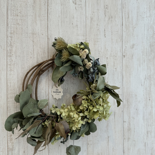 ドライフラワー★プロテアナナ&ユーカリニッコリ　大型リース★シンカルファ　存在感 ドライフラワー］ユーカリ テトラゴナ商品ページ - 土と風の植物園