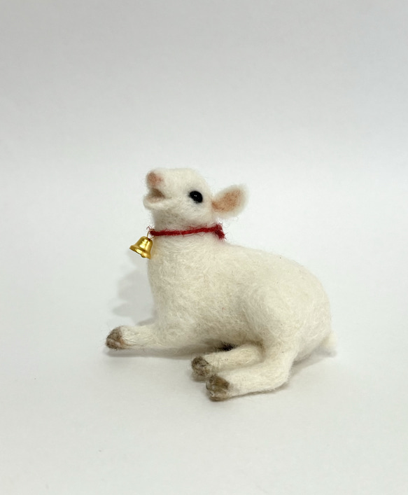 羊毛＊smileyこやぎ 羊毛フェルト 華梨 通販 17989503｜Creema(クリーマ)