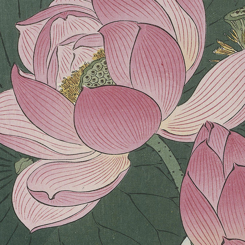 蓮の花「絵画」２L判サイズ原画 蓮の花「絵画」2L判サイズ原画