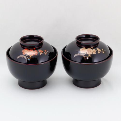 良品】輪島塗 紫雲堂 蒔絵付き 梅小鉢10客 向付/珍味器 朱塗 漆器/食器