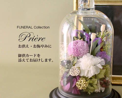 6638aca6ae220733e8d812e86a446c