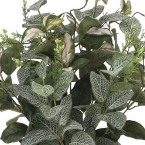 光触媒　人工観葉植物　ウォールグリーン　フェイクグリーン　フィトニアMIX 光触媒 人工観葉植物 ウォールグリーン フェイクグリーン 吊り下げ