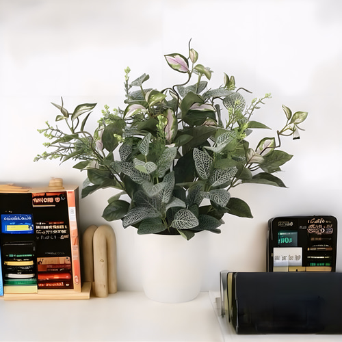 光触媒　人工観葉植物　ウォールグリーン　フェイクグリーン　フィトニアMIX 光触媒 人工観葉植物 ウォールグリーン フェイクグリーン ミックス