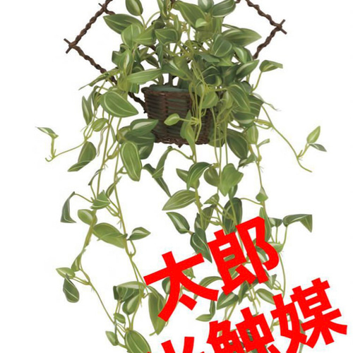 光触媒 人工観葉植物 フェイクグリーン 壁掛けトラディスカ